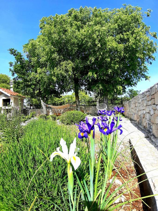 Relaxing Dalmatian House In Village Ljubitovica ภายนอก รูปภาพ