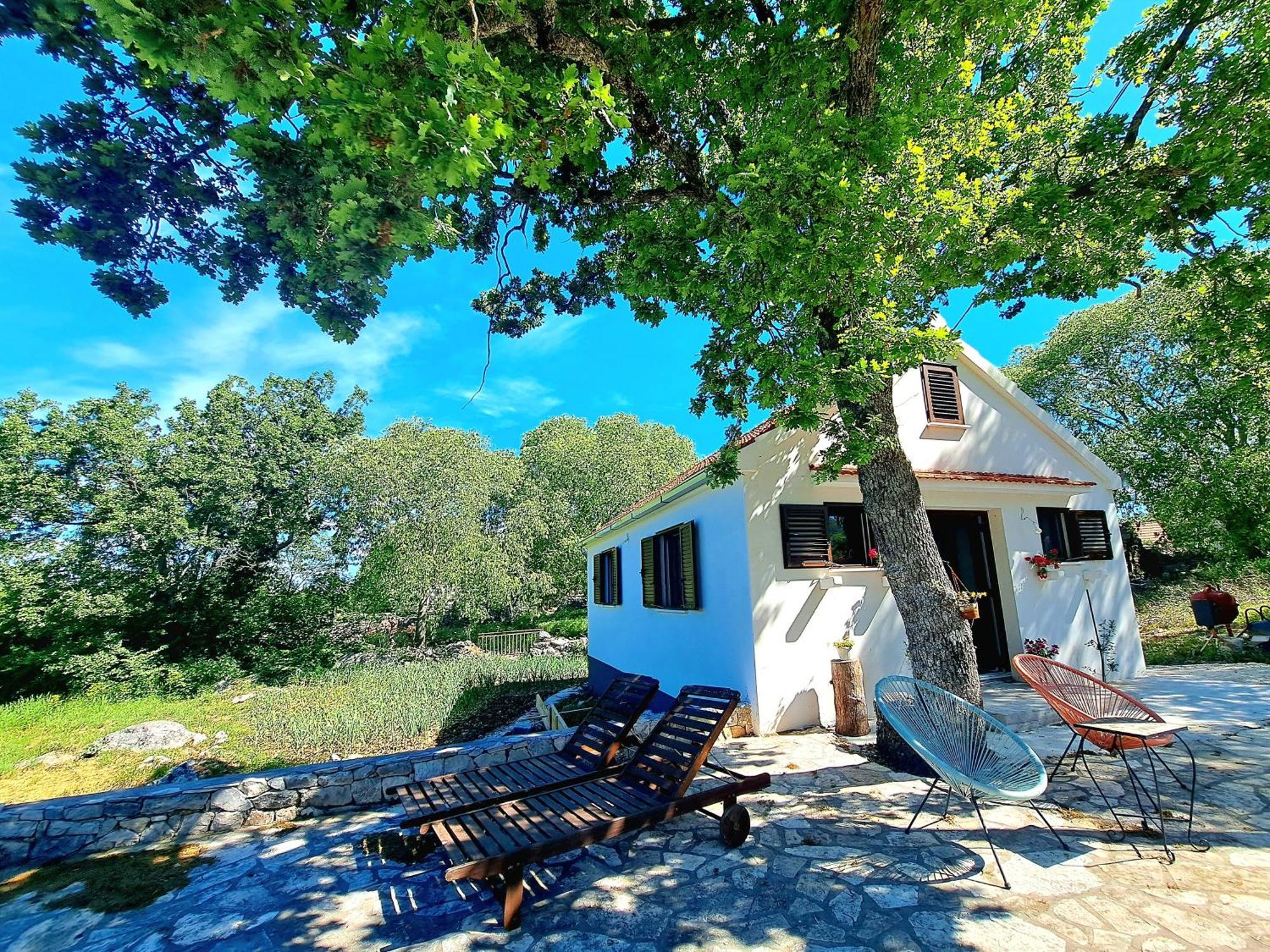 Relaxing Dalmatian House In Village Ljubitovica ภายนอก รูปภาพ